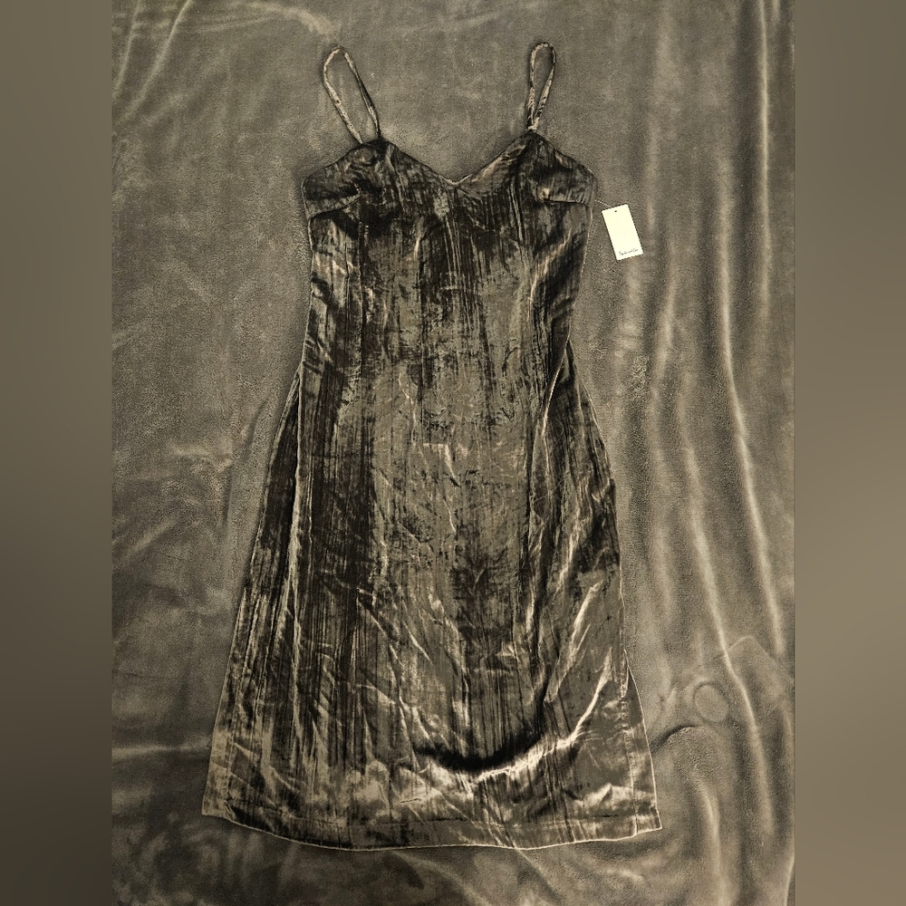 Splendid Dress